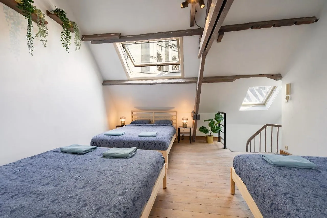 Tempel Cathedral Lodge In The Heart Of Antwerp Apartment