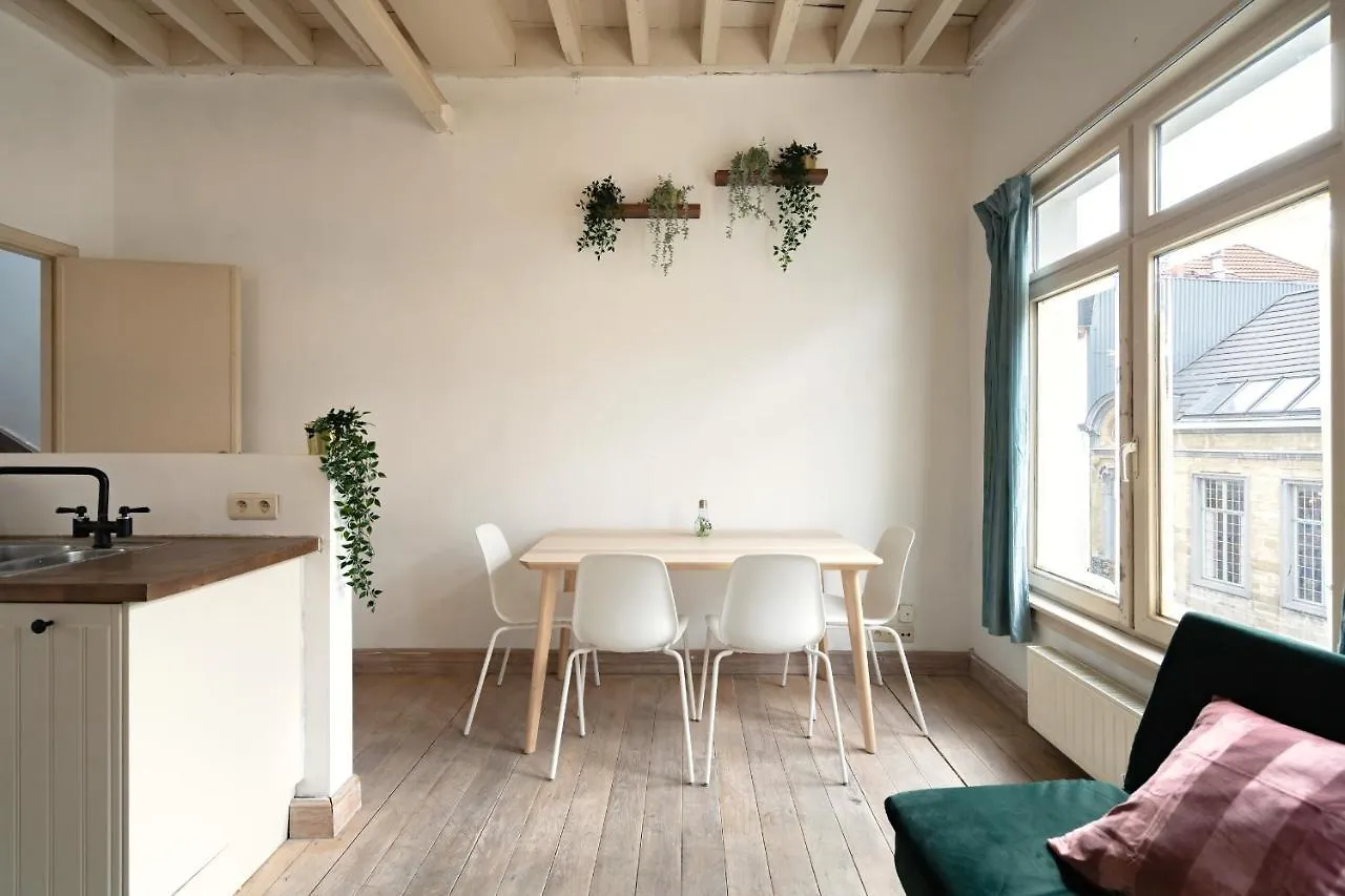 Tempel Cathedral Lodge In The Heart Of Antwerp Apartment